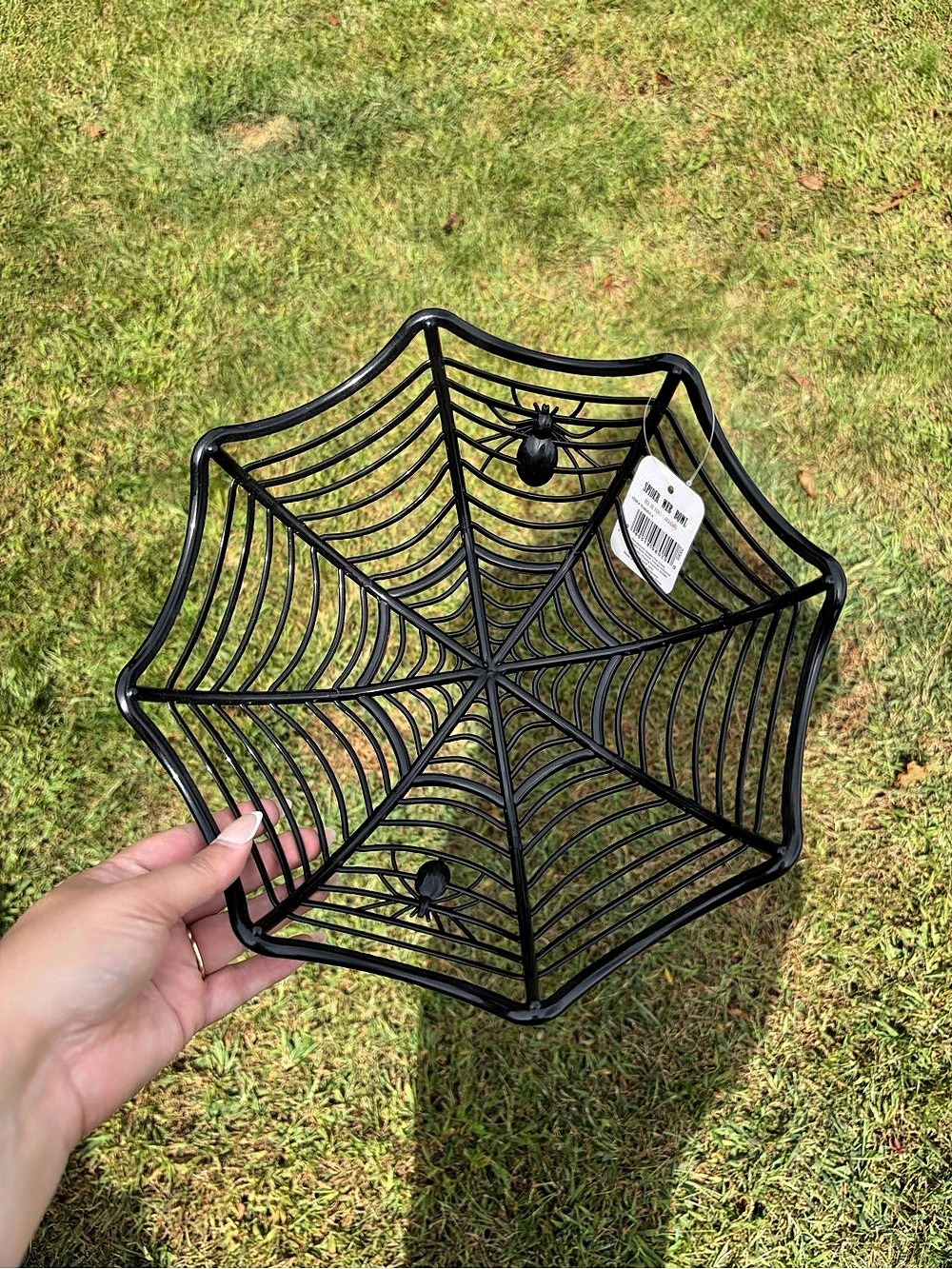 Spider Web Bowl in Black NWT